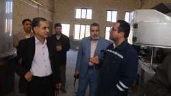 بازدید بازرس کل قضایی استان کرمان از شهرک صنعتی سدید/سالاری: حمایت از صنعت، کلید خودکفایی ملی است